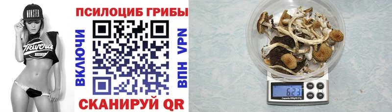 Галлюциногенные грибы мицелий  МЕГА tor  Собинка 